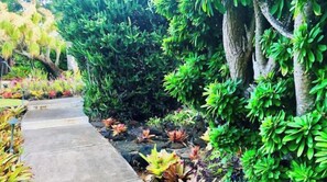 Stroll through the beautifully manicured garden, surrounded by lush greenery and vibrant foliage.