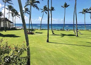Enjoy a round of golf with ocean views surrounded by tall palm trees.