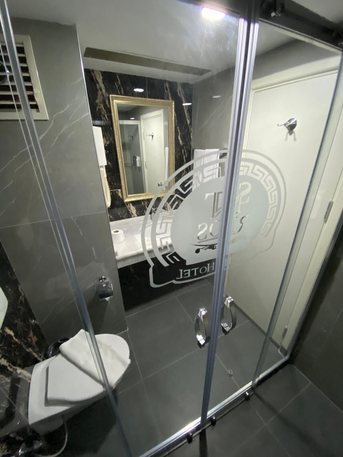 A modern bathroom with a glass shower enclosure, a toilet, and a sink with a marble countertop.