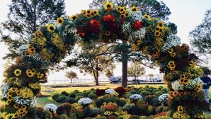 Ein Garten mit floralem Bogen und verschiedenen Blumentöpfen.