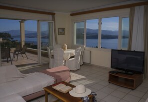 Télévision, lecteur de DVD, table de tennis de table, livres