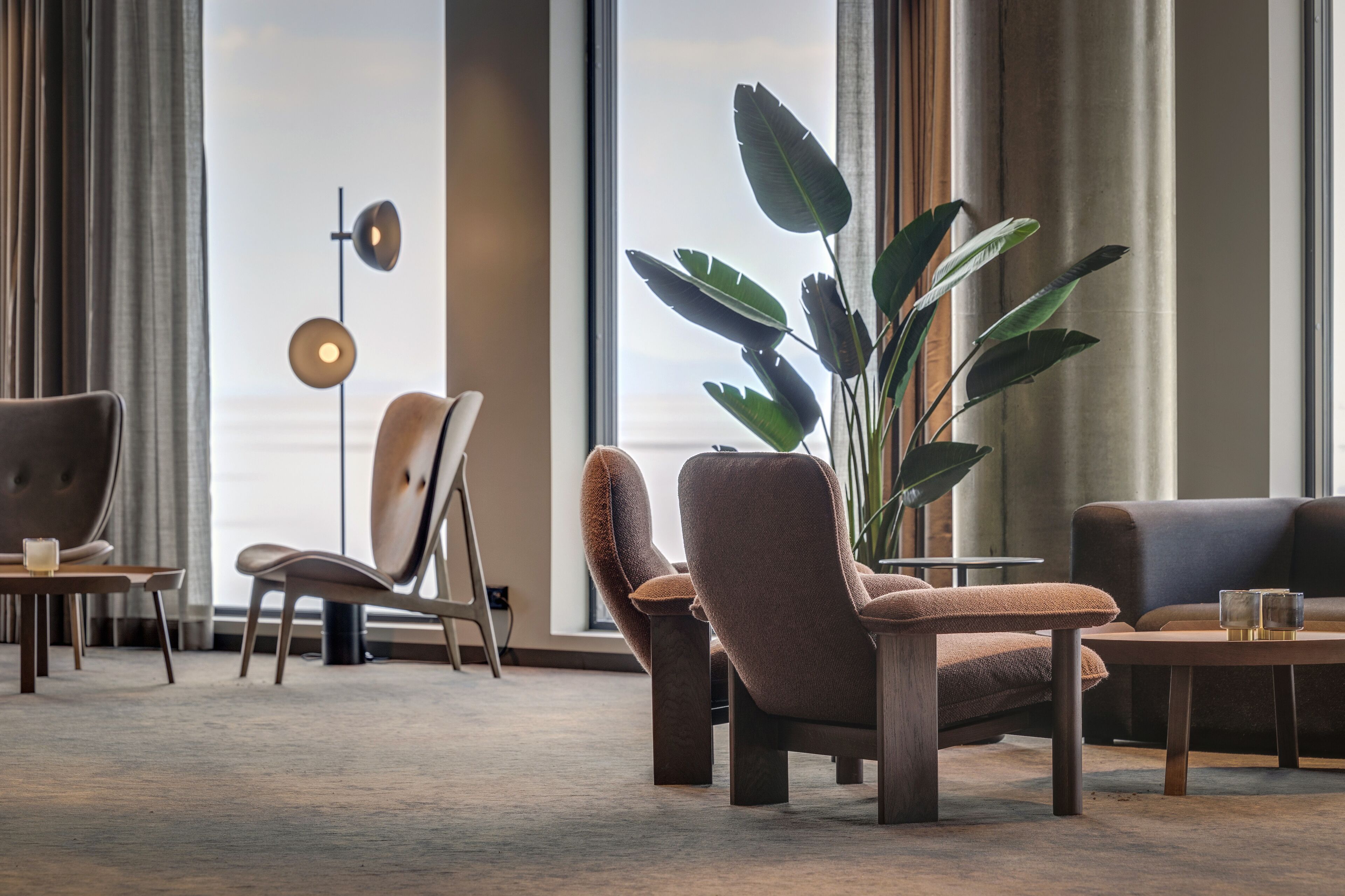 Un área de descanso moderna con una planta grande, sillones de cuero y una lámpara de pie.