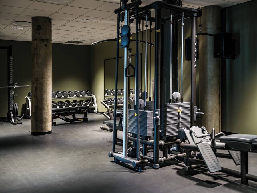 A gym with weightlifting equipment, dumbbells, and a squat rack.