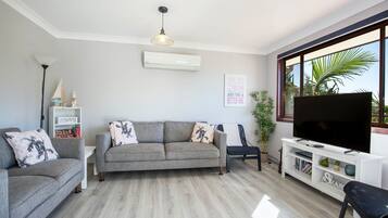 Smart TV, DVD player, books, stereo