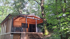 Een houten blokhut met een veranda en een trap die naar de ingang leidt, omgeven door een dicht bos.