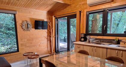 THE CABIN IN AN IDYLLIC SETTING IN THE HEART OF NATURE