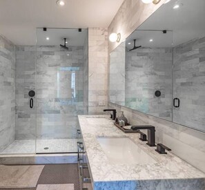 Combined shower/tub, hair dryer