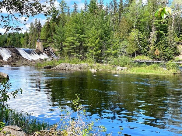 Un lago tranquilo rodeado de un bosque frondoso.