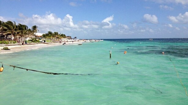 Een strand met helder turquoise water, palmbomen en enkele boten.