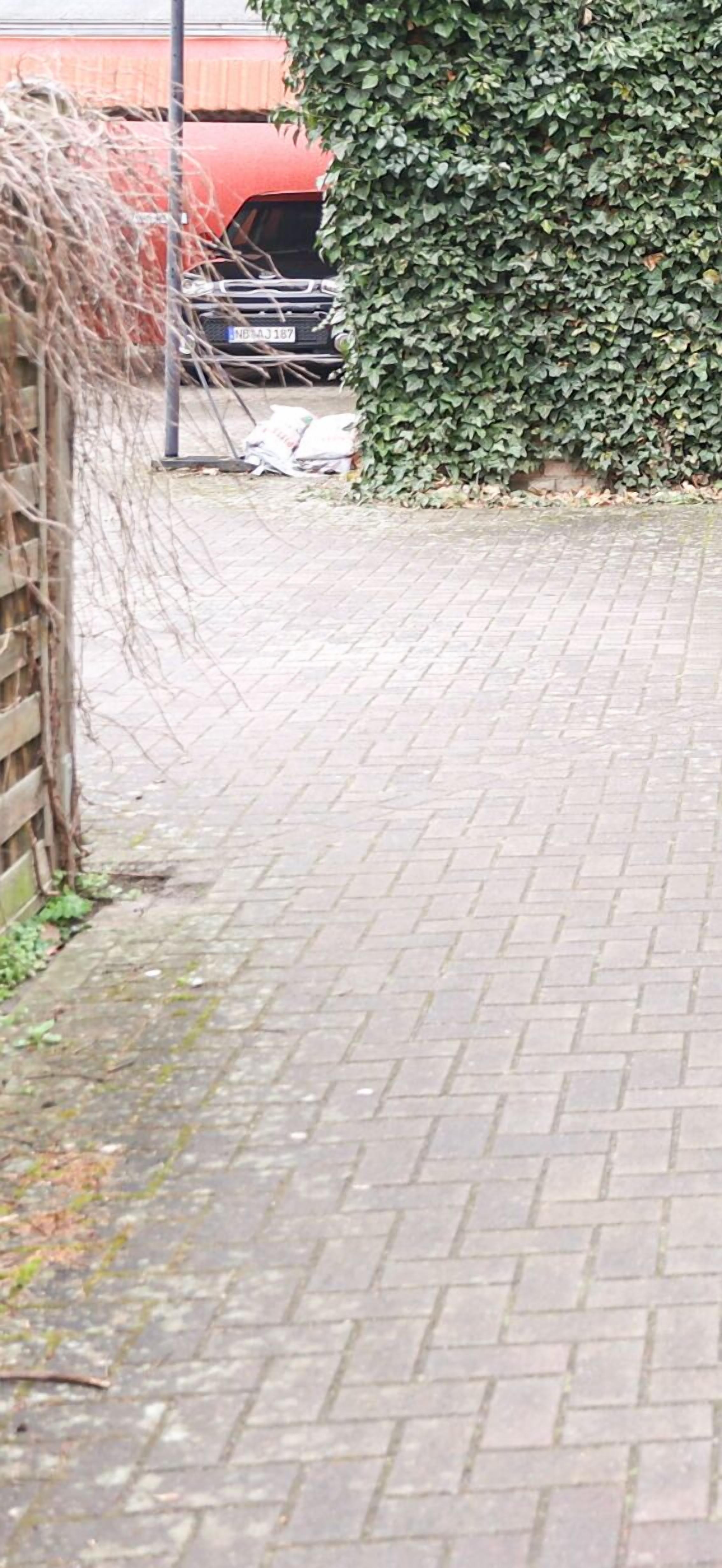 Een geplaveid pad met een bakstenen patroon, een houten hek en een haag.