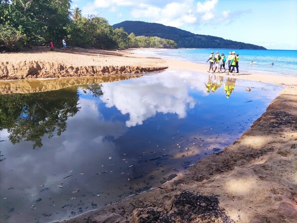 Plage à proximité
