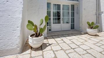 A white building with a large arched window and a door, potted cacti in front, and a stone-paved entrance.