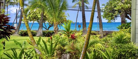 Estudio | Jardines del alojamiento