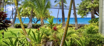 Garden View Studio - Kona Islander Inn Condos Condo by RedAwning