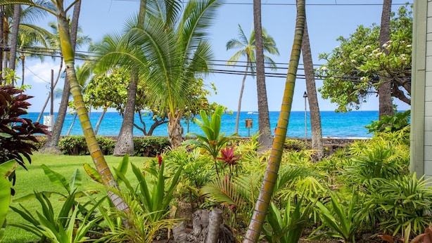 Um jardim tropical com palmeiras e diversas plantas, que dá para uma vista do oceano.