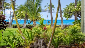 Studio | UnterkunftsgelÀnde