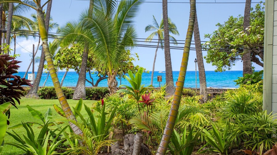 Garden View Studio - Kona Islander Inn Condos Condo by RedAwning