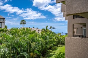 Property grounds - Elegant 1Bd/2Ba with Private Lanai and Beach Access in Kihei Kamaole Sands 8-206 (Kihei)
