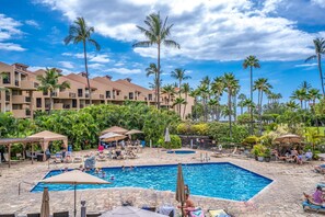 Relax by the pool surrounded by palm trees and lounge chairs.