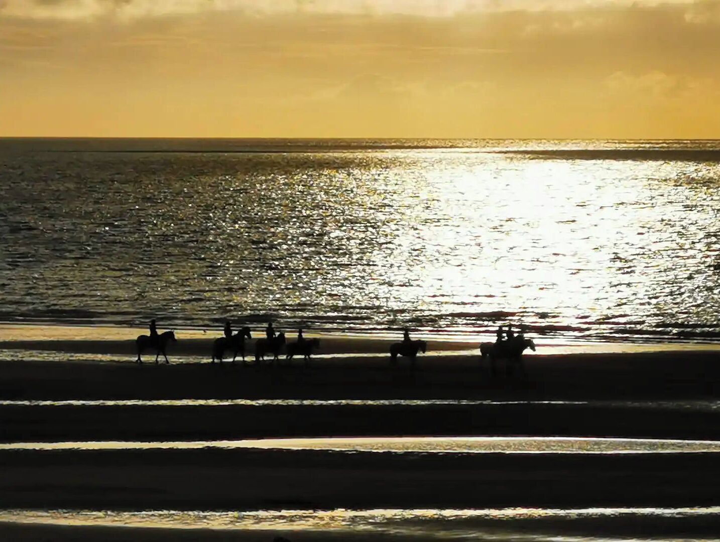 A beach scene with a sunset over the ocean, silhouettes of people on horseback, and a calm sea.