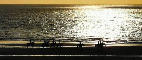 A beach scene with a sunset over the ocean, silhouettes of people on horseback, and a calm sea.