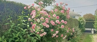 Gite with garden on ground floor pets welcome