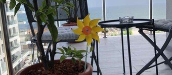 BlackSeaBlueBike Beachfront Apartment
