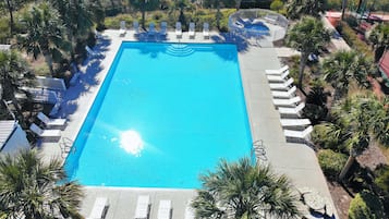 A rectangular swimming pool surrounded by lounge chairs and palm trees.