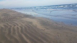 A beach with sand patterns and waves. - Crustacean Station- Private Pool - Cart Discount (Port Aransas)