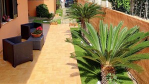 Une terrasse dotée de meubles en osier et d’un palmier.
