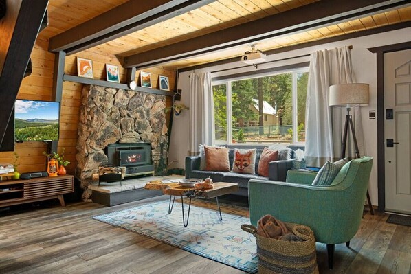 Smart TV, fireplace, video games, books