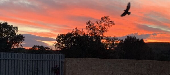 Un atardecer con un pájaro volando en el cielo, árboles y una cerca al frente.