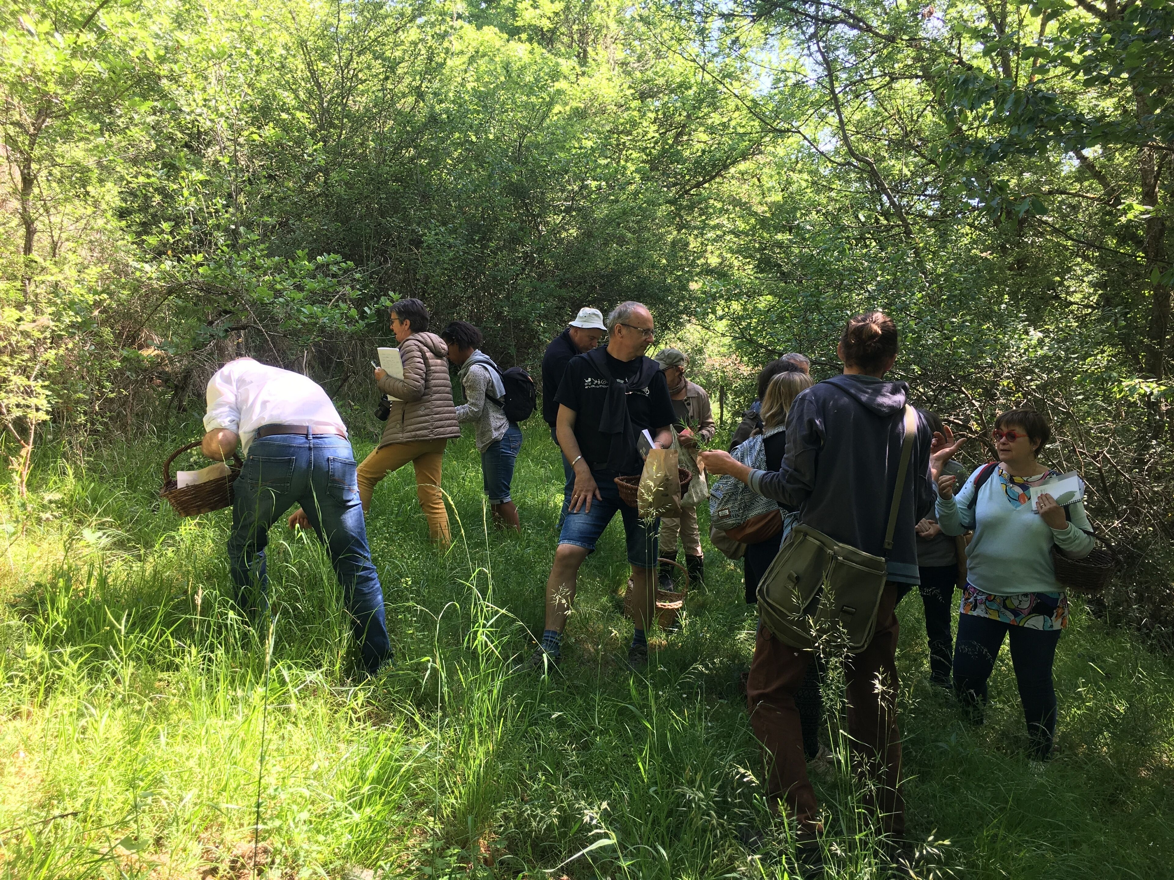 A group of people in a forested area, some carrying bags and others holding papers.