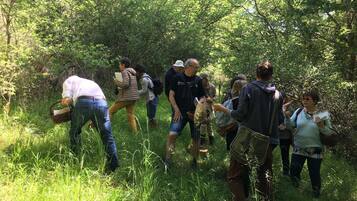 A group of people in a forested area, some carrying bags and others holding papers.