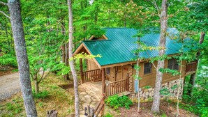 A log cabin with a green roof, surrounded by trees. - Rustic Retreat in the Smokies (Sevierville)
