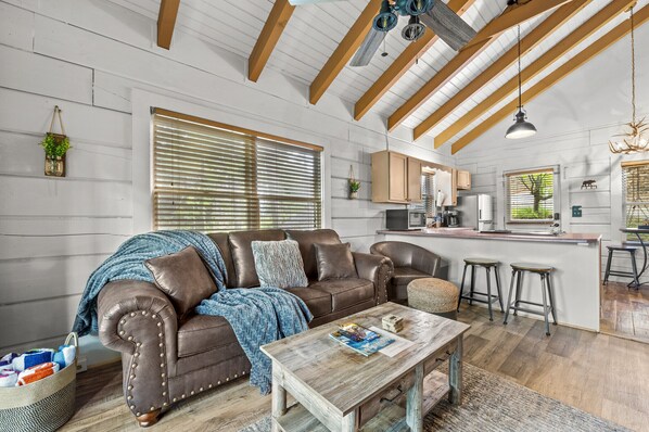 Smart TV, fireplace, music library