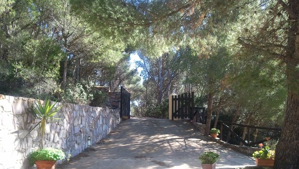 Un chemin pavé mène à une entrée fermée par un portail, qui est elle-même entourée de murs en pierre et de plantes en pot.