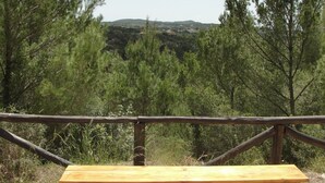 Un banc en bois offrant une vue sur un paysage boisé et des collines lointaines.