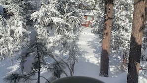 A view of snow-covered trees from a window with a mug in the foreground. - BIG BEAR HIDEAWAY- 3 BED 2 BATH PRIVATE CUL-DE-SAC (Big Bear)