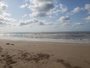 Nära stranden