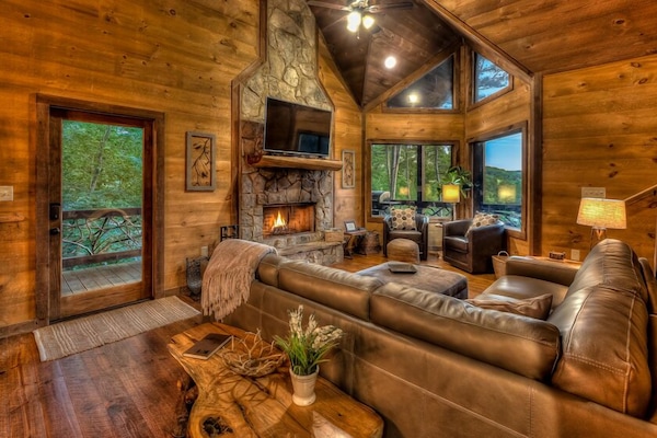 Una televisión, una chimenea, libros