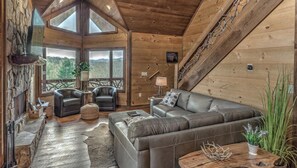 TV, caminetto, libri