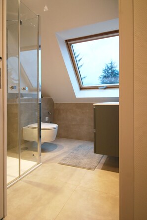 A modern bathroom with a skylight, a glass shower enclosure, and a toilet.