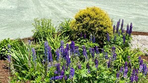 Un jardín con diversas plantas y flores, un sendero pavimentado y vistas a montañas distantes.