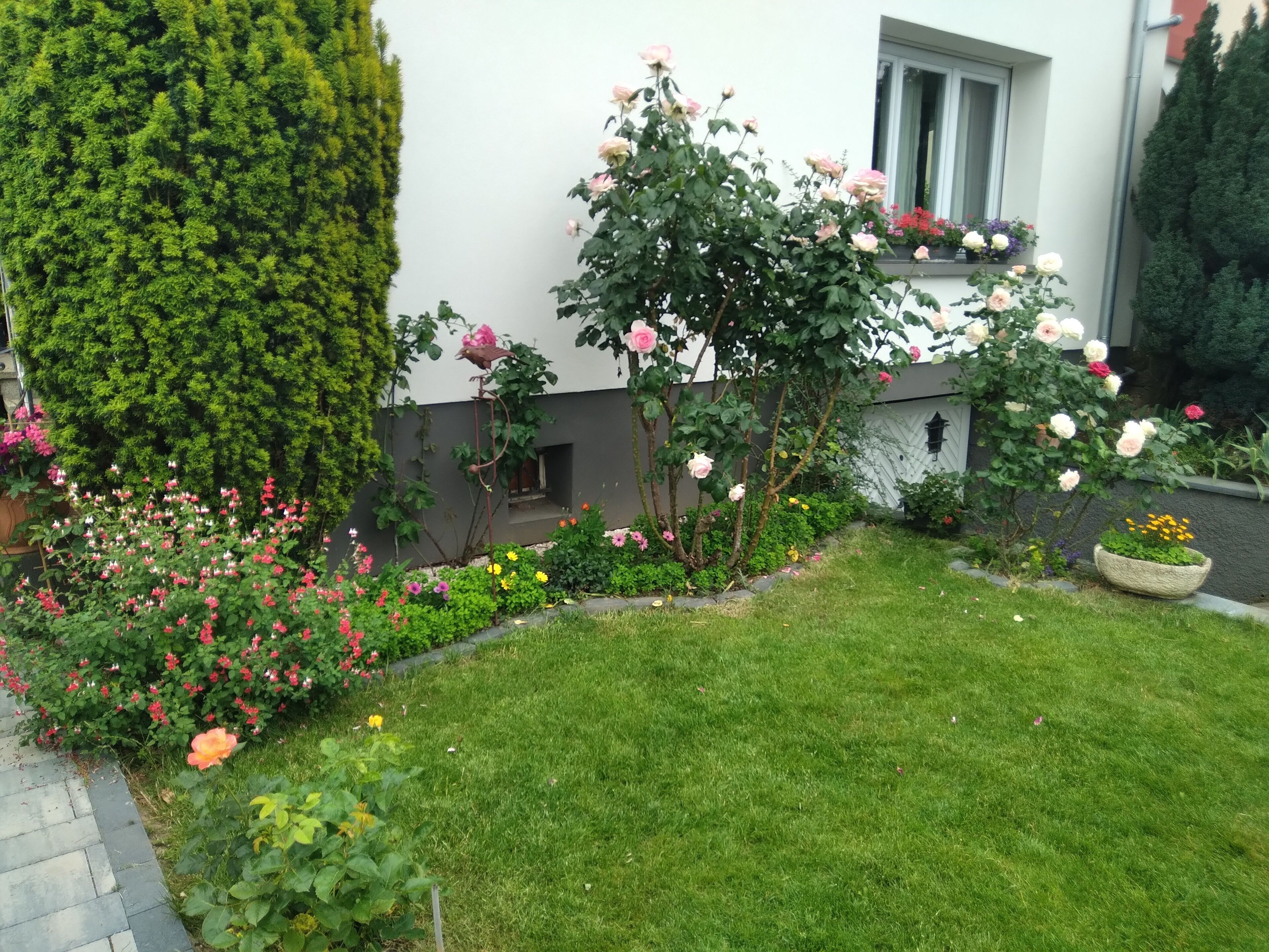 Een verzorgde tuin met verschillende bloeiende planten en een strak gemaaid gazon voor een gebouw.