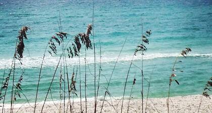 Adorable Seacrest cottage near beach and pool; family and pet friendly! Bikes!