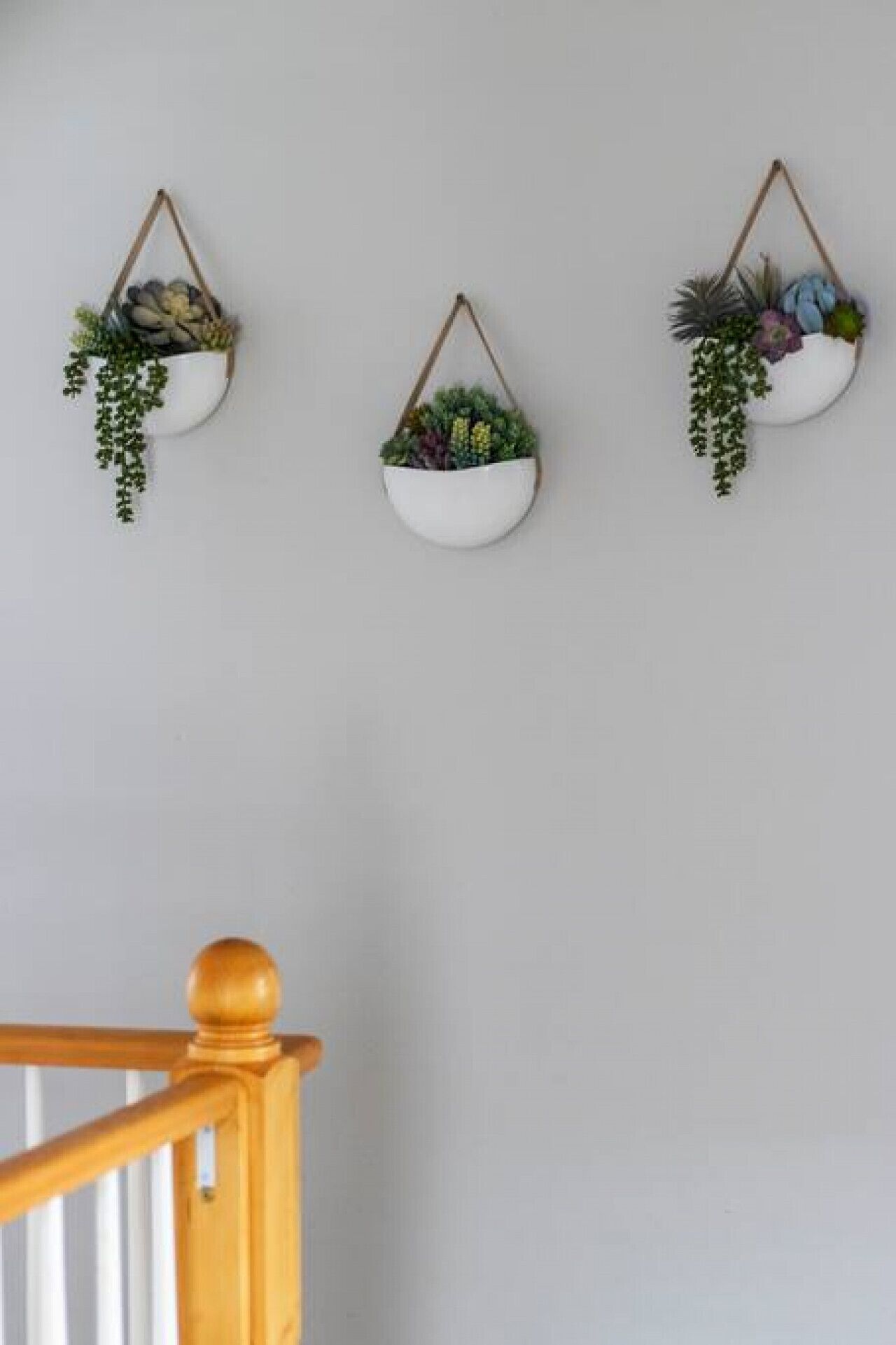 Tre vægmonterede plantekasser med forskellige planter.