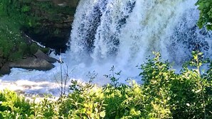 A waterfall cascading over a rocky cliff surrounded by lush greenery.