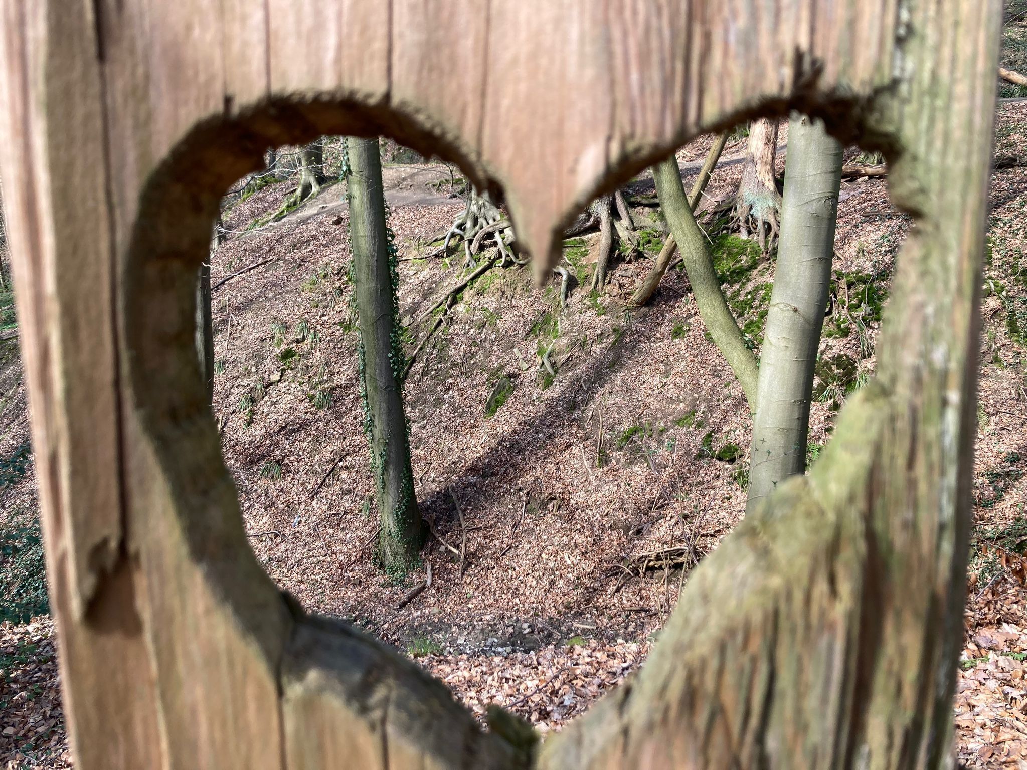 A wooden structure with a heart-shaped cutout.