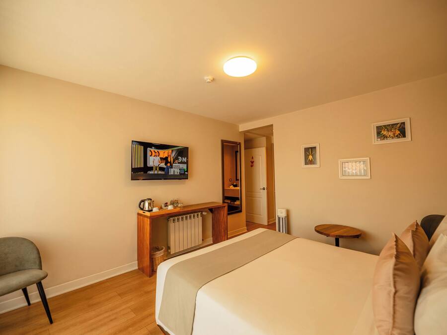 Habitación de hotel con cama, escritorio, silla, radiador, televisor y una mesita.